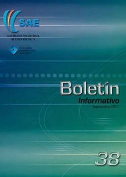 Boletin SAE