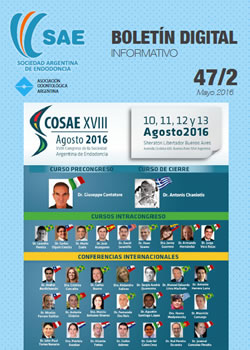 Boletin SAE
