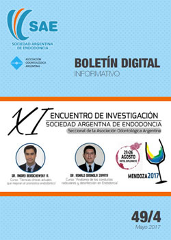 Boletin SAE